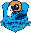 Budapesti Kosok